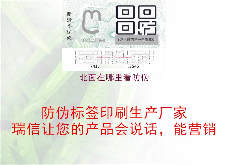北面在哪里看防偽(圖3) 北面在哪里看防偽3.jpg