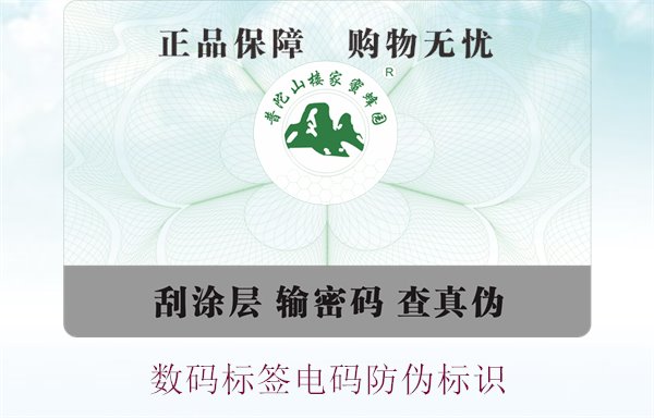 數(shù)碼標簽電碼防偽標識(圖1) 數(shù)碼標簽電碼防偽標識(圖1)