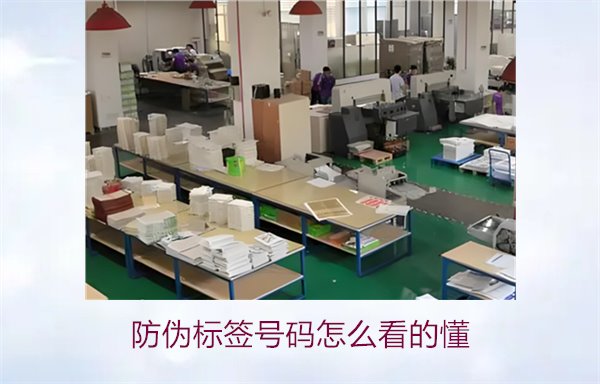 防偽標(biāo)簽號(hào)碼怎么看的懂？詳細(xì)解析防偽標(biāo)簽號(hào)碼的識(shí)別方法與技巧(圖2)