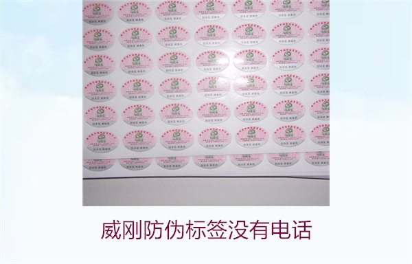 威剛防偽標(biāo)簽沒有電話，如何通過其他方式驗證威剛防偽標(biāo)簽的真?zhèn)?圖3)
